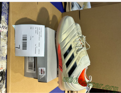 Shipped Order