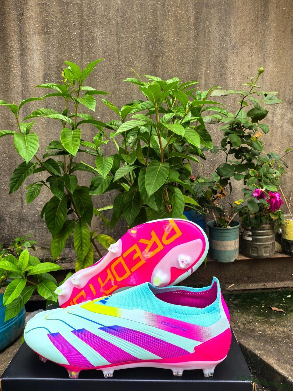 Adidas Predator Elite 24 Laceless FG Football Boots - Jade/Blue/Pink