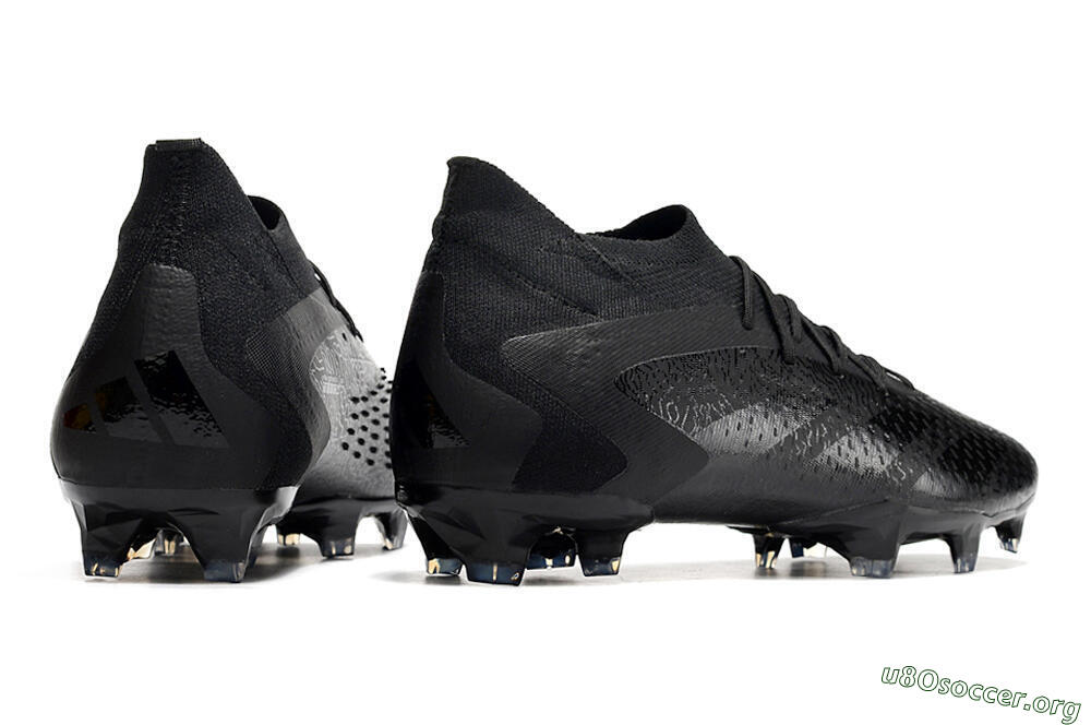 Adidas Predator Accuracy.1 FG Football Boots - Black/Black 6