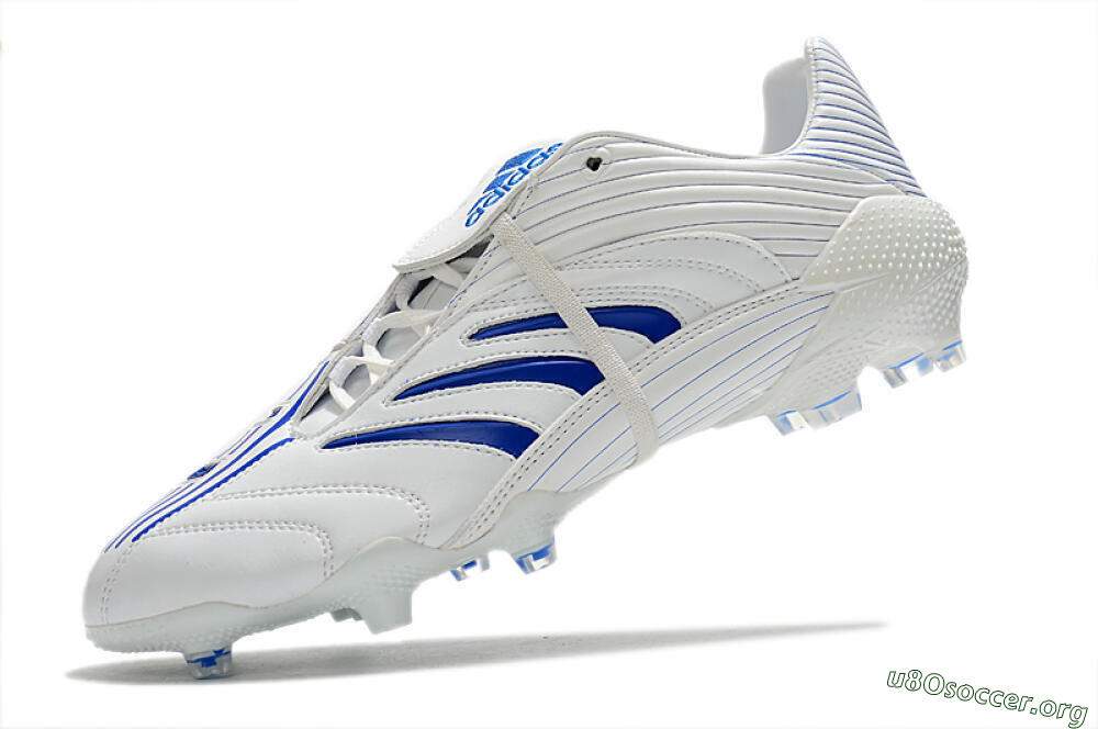 Adidas Predator Absolute 20 FG Football Boots - White/Blue 5