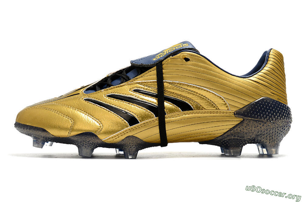 Adidas Predator Absolute 20 FG Football Boots - Gold/Black/Blue 3