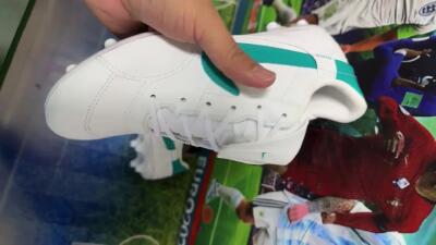 Nike The Premier 3 FG Football Boots - White/Blue