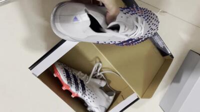 Adidas Predator Freak.1 FG Football Boots - Silver/Blue/Red/Black